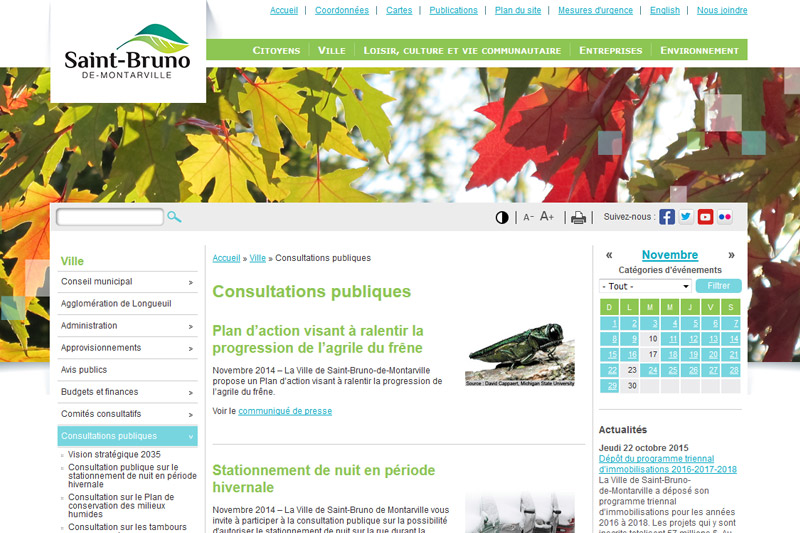 portfolio-saint-bruno_2