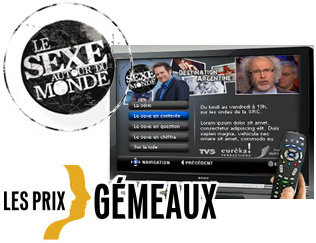 Prix Gémeaux 2011